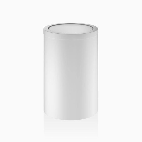 DW 124 Paper bin with revolving cover